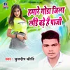 About Hamare Gonda Jila Launde Hai Bade Paji Song